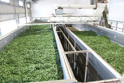 オーガニック　ほうじ茶・抹茶入り玄米茶　袋2本セット